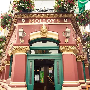 Molloys , Dublin Irland